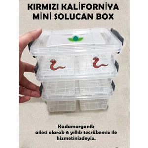 Kadam Organik 3 Katlı Mini Solucan Evi (Solucan Box) 200 Adet