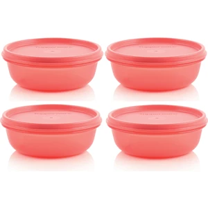 Buzdolabı Saklama Kabı 4X300 ml Şeker Kaplar Hsgl