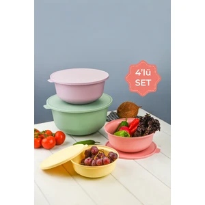 Çok Renkli Tupy Kapaklı Kase 4lü Set