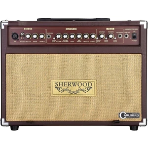 SHERWOOD30R 30 Watt Akustik Amfi (Reverb)