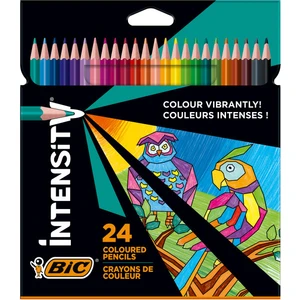 Color Up  Intensity Üçgen Kuru Boya 24 Renk
