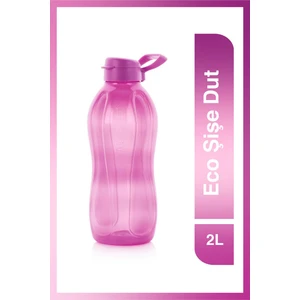Eco Şişe KK 2L Dut