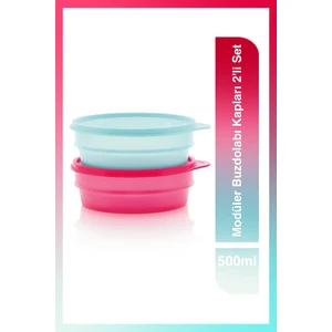 Modüler Buzdolabı Kapları 2'li Set 500 ml