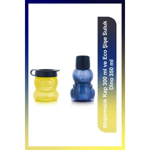 Atıştırmalık Kap 300 ml ile Dino Desenli Eco Suluk Şişe 350 ml İkili Set