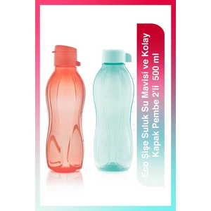 Eco Şişe Suluk Su Mavisi ve Kolay Kapak Pembe 2'li  500 ml