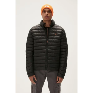 Bad Bear Archer Puffer Night