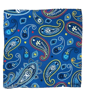 La Pescara Mavi Şal Desen Erkek Cep Mendili SPS569-23