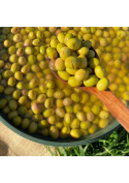 Nostalji Siyah Zeytin & Zeytinyağı & Taş Kırma Yeşil Zeytin