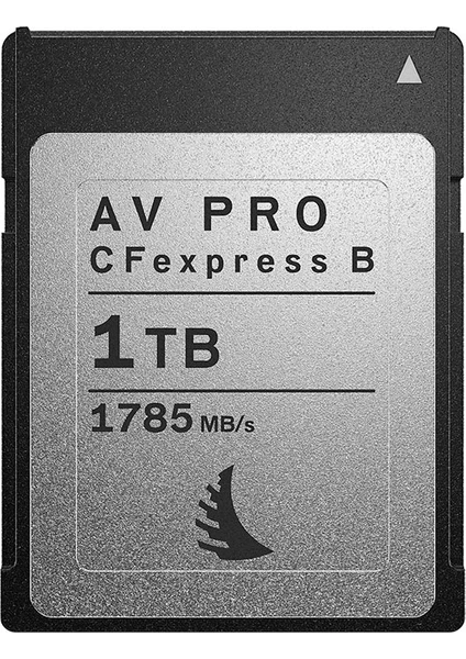 1tb Cfexpress Type-B Hafıza Kartı