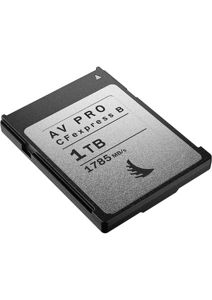 1tb Cfexpress Type-B Hafıza Kartı