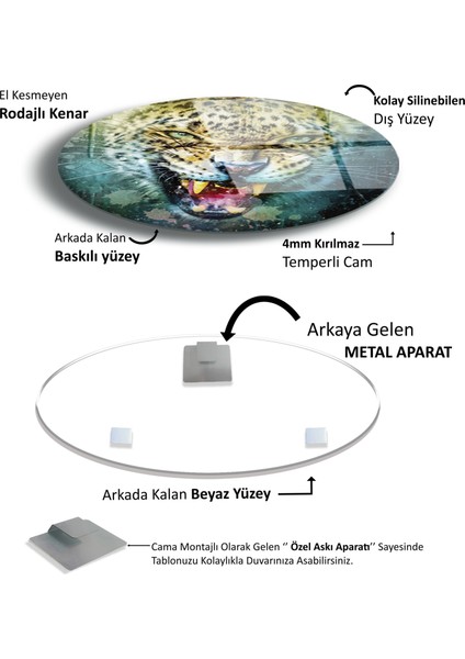 Leopar Cam Tablo fırsatları