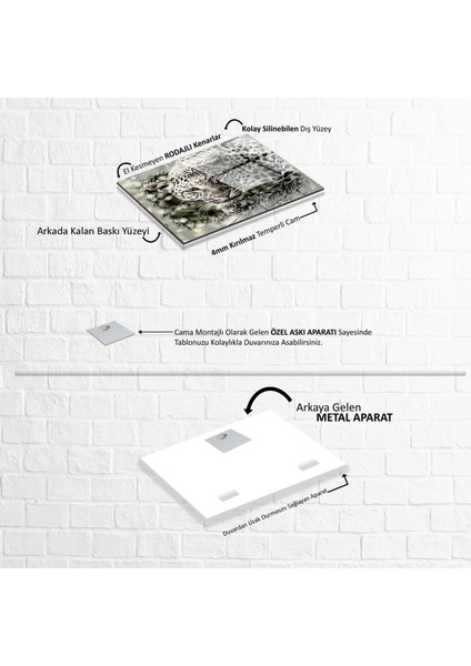 Leopar Cam Tablo fırsatları