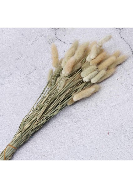 Kurutulmuş Çiçekler Buketler Bitkiler Diy Dekor Bej indirimleri