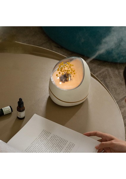 Nemlendirici Taşınabilir Masa Üstü Dekor Oturma Odası Apartmanı Beyaz B modelleri