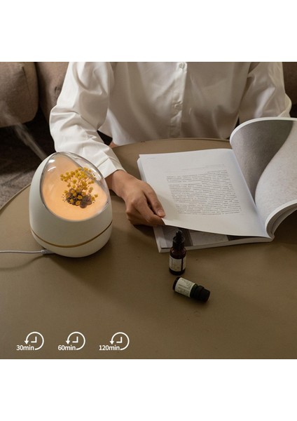 Nemlendirici Taşınabilir Masa Üstü Dekor Oturma Odası Apartmanı Beyaz B fırsatları