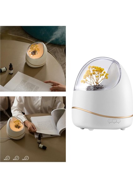 Nemlendirici Taşınabilir Masa Üstü Dekor Oturma Odası Apartmanı Beyaz B indirimleri