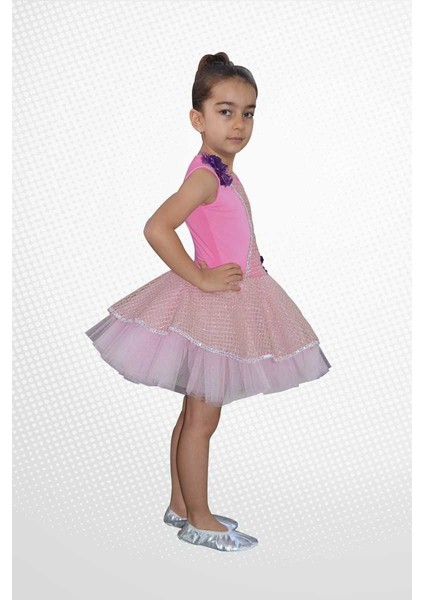 Modern Dans Bale Kostümleri (Fileli Elbise) fiyatları