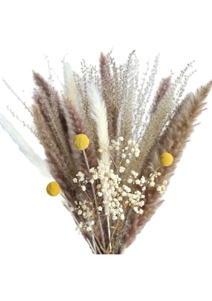 Homil Kurutulmuş Pampas Çim Çim Çiçek Buket (Yurt Dışından)