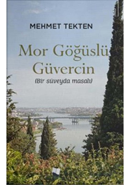 Mor Göğüslü Güvercin - Mehmet Tekten