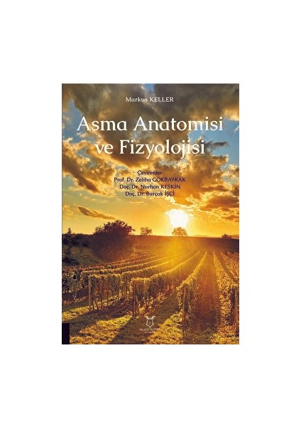 Asma Anatomisi ve Fizyolojisi