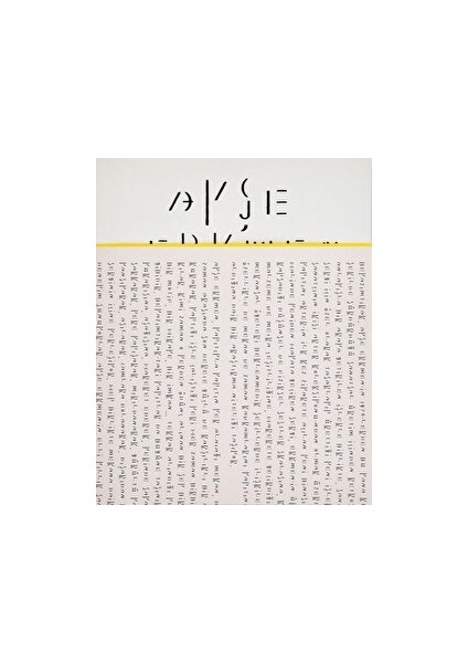 Ayşe Erkmen: Whitish