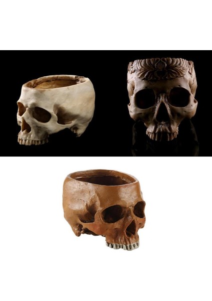 Reçine Oyma Kafatası Model Bitki Pot Meyvesi Ev Cadılar Bayramı Dekor Süsleri BEYAZ-1.5X5X14.5CM indirimleri