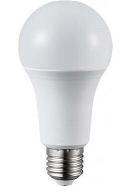 CT-4266 12 Watt LED Ampul Beyaz