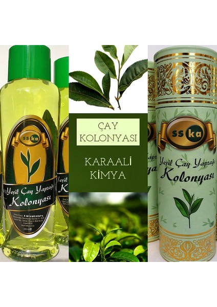 Yeşilçay Yaprağı Kolonyası modelleri