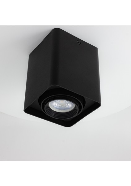 Frog Siyah Renk Kare Sıva Üstü Spot Dekoratif Modern Aydınlatma 3000K GU10 Duy LED Ampul Dahil