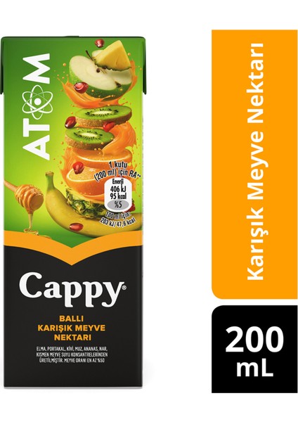 Atom Ballı Karışık Meyve Suyu Karton Kutu 200 ml
