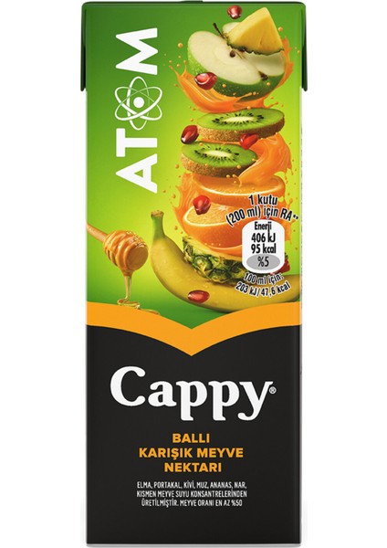 Atom Ballı Karışık Meyve Suyu Karton Kutu 200 ml