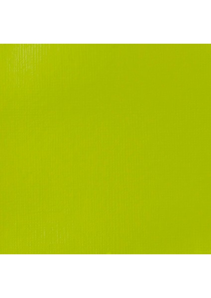 Professional Heavy Body Akrilik Boya 59ML Vivid Lime Green 740 S1 fiyatları