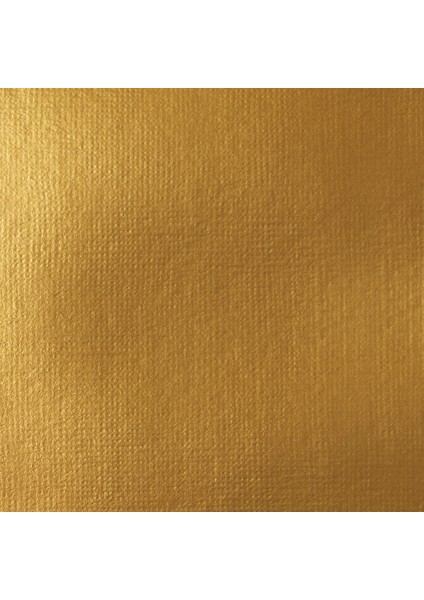 Professional Heavy Body Akrilik Boya 59ML Yanardöner Zengin Altın 235 S2 fiyatları