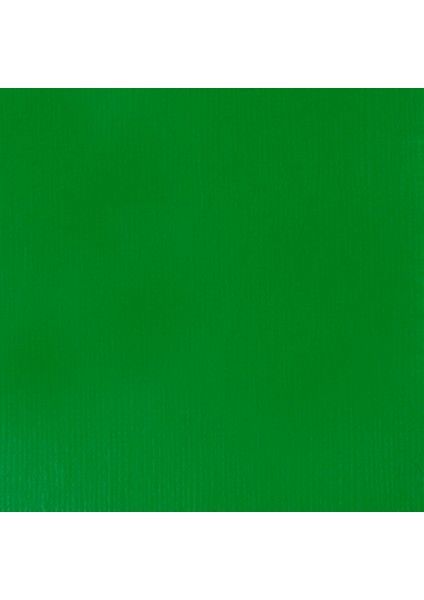 Professional Heavy Body Akrilik Boya 59ML Açık Yeşil Kalıcı 312 S2 fiyatları