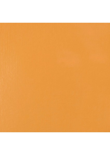 Professional Heavy Body Akrilik Boya 59ML Napoli Sarısı Hue 601 S2 fiyatları