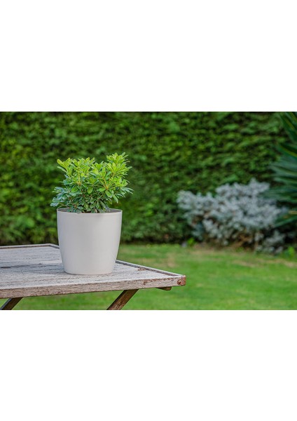YK04 Yakut Saksı No:4 Drenaj Aparatı ile Birlikte, Kirli Beyaz, 21.8cm, 7.4 Litre