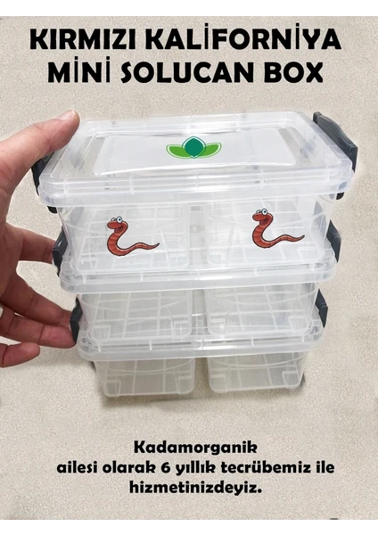 Kadam Organik 3 Katlı Mini Solucan Evi (Solucan Box) 200 Adet