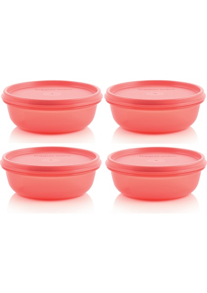 Buzdolabı Saklama Kabı 4X300 ml Şeker Kaplar Hsgl