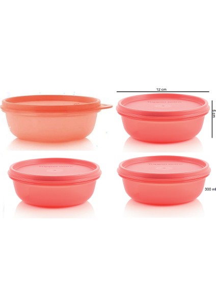 Buzdolabı Saklama Kabı 4X300 ml Şeker Kaplar Hsgl fiyatları