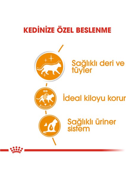 85GR Intense Beauty Yaş 12ADET Kedi Maması modelleri