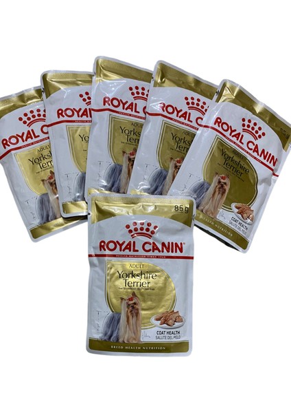 Yorkshire Terrier Adult Pouch Yaş Köpek Maması Konserve Köpek Maması 6x85GR