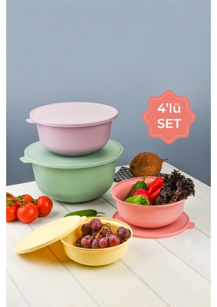 Çok Renkli Tupy Kapaklı Kase 4lü Set