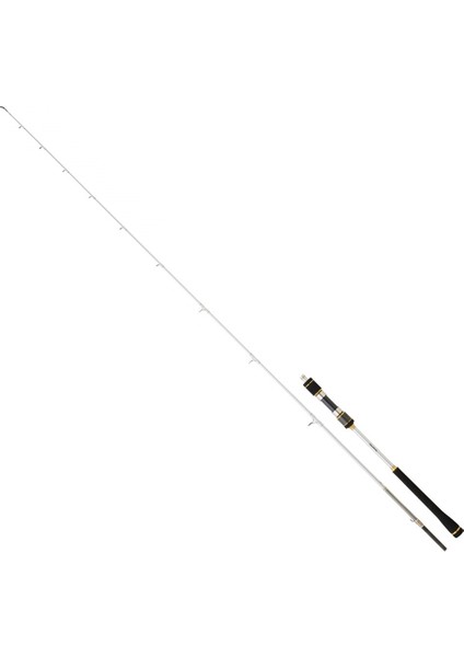 New Megaforce 220 cm 60-180 gr Jig Kamış