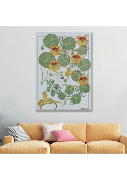 Nasturtium Çiçeği Kanvas Tablo modelleri