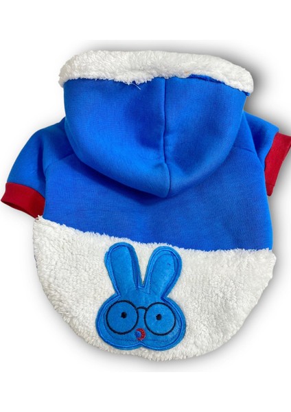 Sweet Blue Rabbit Sweatshirt Kapşonlu Kedi Kıyafeti Kedi Sweatshirt