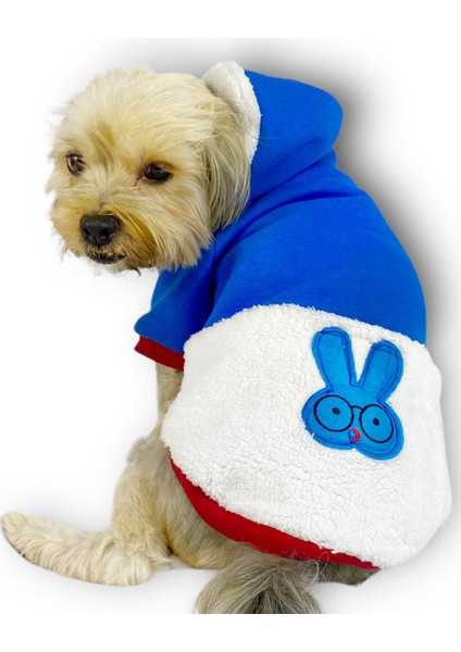 Sweet Blue Rabbit Kapşonlu Sweatshirt Köpek Kıyafeti Köpek Elbisesi