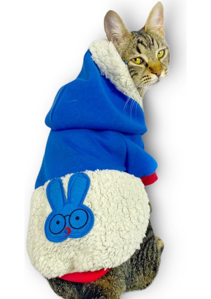 Sweet Blue Rabbit Sweatshirt Kapşonlu Kedi Kıyafeti Kedi Sweatshirt