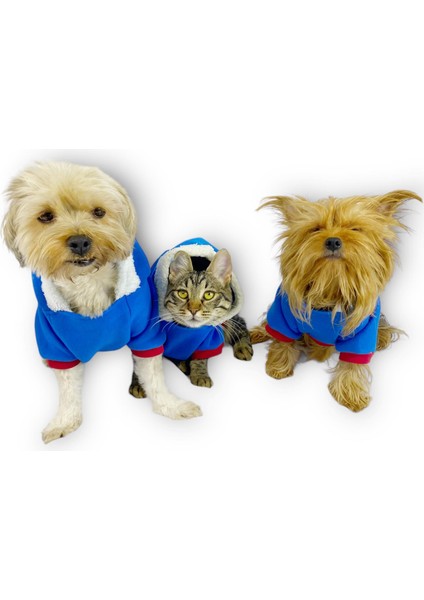 Sweet Blue Rabbit Sweatshirt Kapşonlu Kedi Kıyafeti Kedi Sweatshirt modelleri