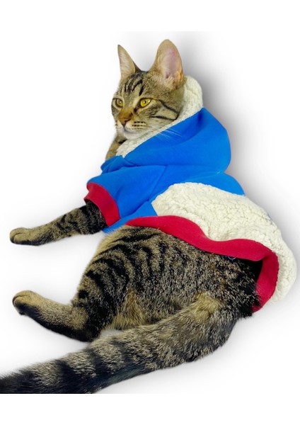 Sweet Blue Rabbit Sweatshirt Kapşonlu Kedi Kıyafeti Kedi Sweatshirt fiyatları