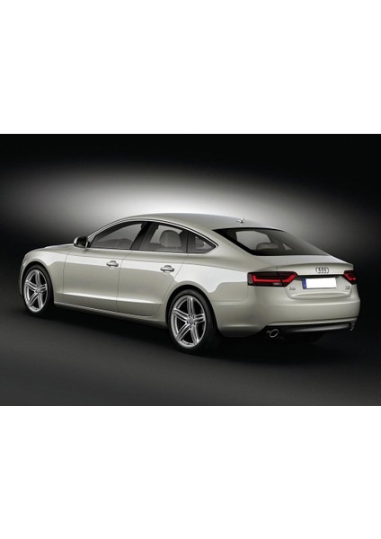 Audi A5 Sportback 2012-2016 Arka Bagaj Amortisörü Pistonu 8T8827552B fiyatları